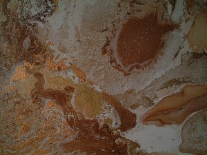 buy abstract art