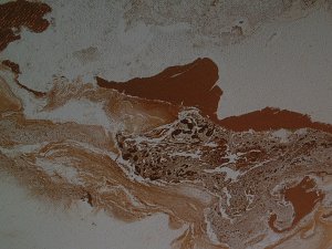 buy original art