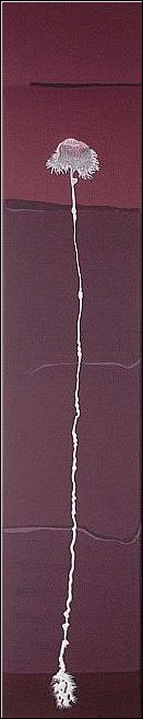 buy contemporary art