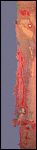 abstract expressionist painting